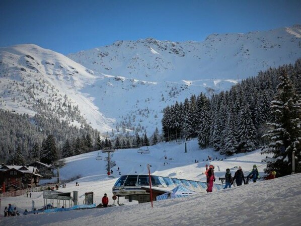 Sneeuw- en skisporten