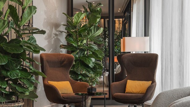 A modern interior with two brown armchairs with yellow cushions, a large potted plant, and a glass partition. - Welcome Hotel (Serravalle)
