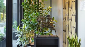 A reception area with a potted plant, a metal sculpture, and a patterned wall. - Welcome Hotel (Serravalle)