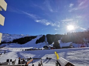 Lumi- ja hiihtourheilulajit