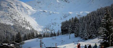 Deportes de invierno y ski