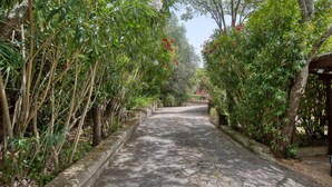 Un vialetto lastricato costeggiato da vegetazione lussureggiante e alberi, che conduce a un edificio con tetto rosso.