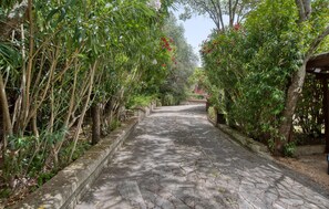 Property grounds - Gorgeous home in Fonte Vivola with WiFi (Fonte Vivola)