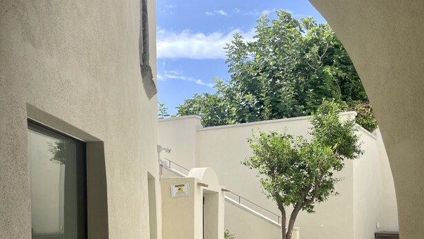 A courtyard with a white wall, a large potted plant, a tree, and a staircase leading to an upper level. - Charming en-suite room with private terrace (Forio)