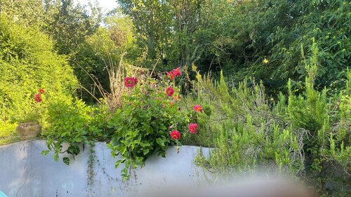 Paradise by the beach