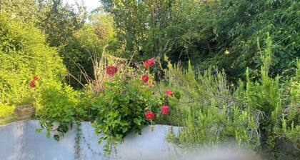 Paradise by the beach