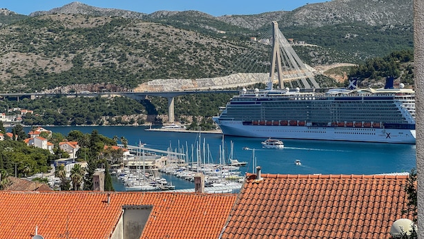 A cruise ship docked at a marina with a mountainous backdrop.