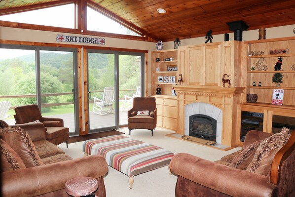 Televisión, chimenea, videojuegos, reproductor de DVD