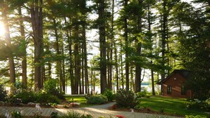 A cabin surrounded by a forest with a pathway leading to it. - Wolf Cove Inn (Poland)