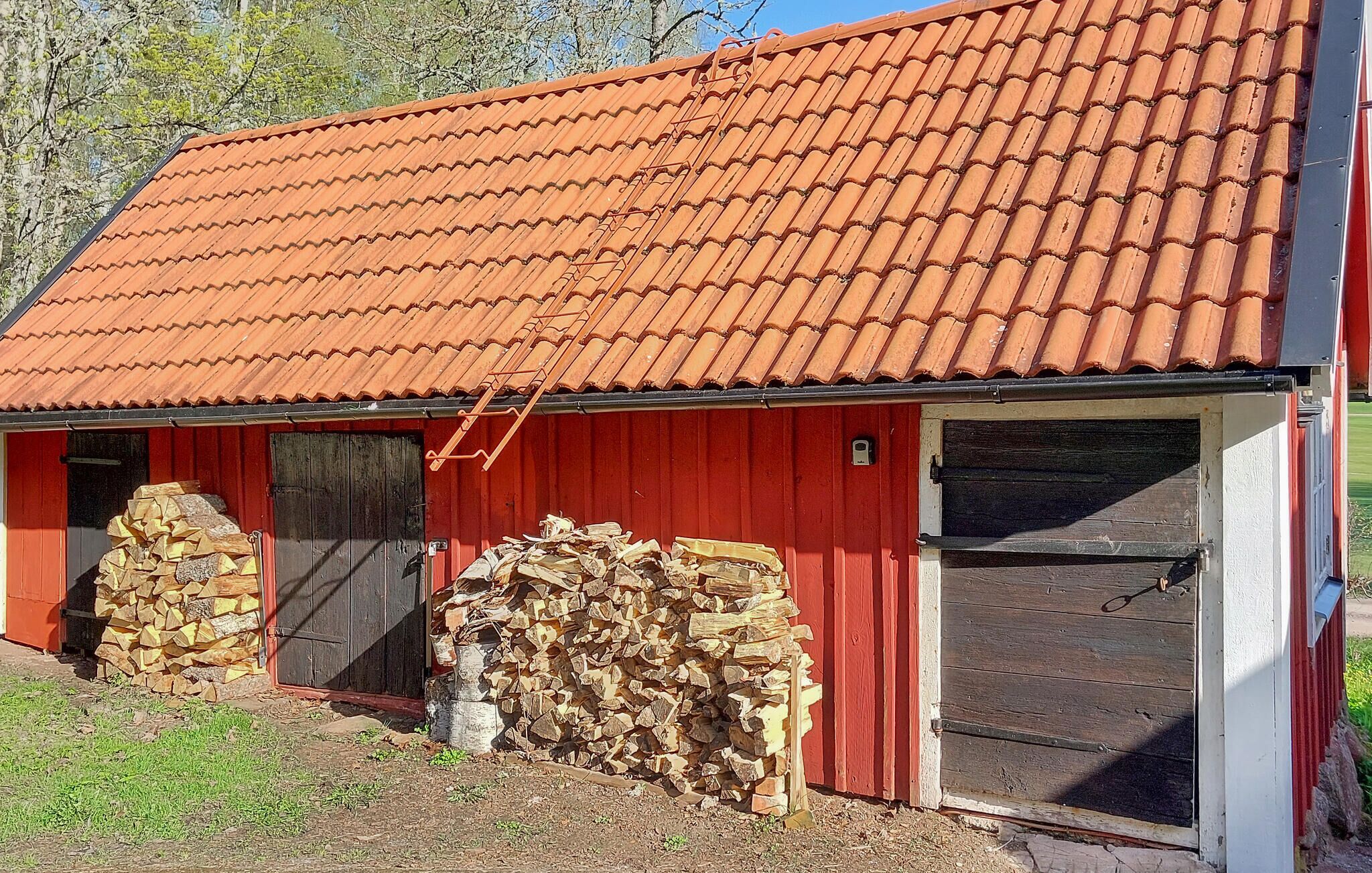 Eksteriør