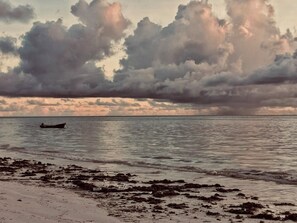 Vue sur la plage/l’océan