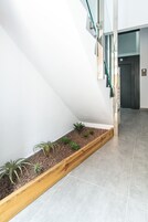 Entrada interior