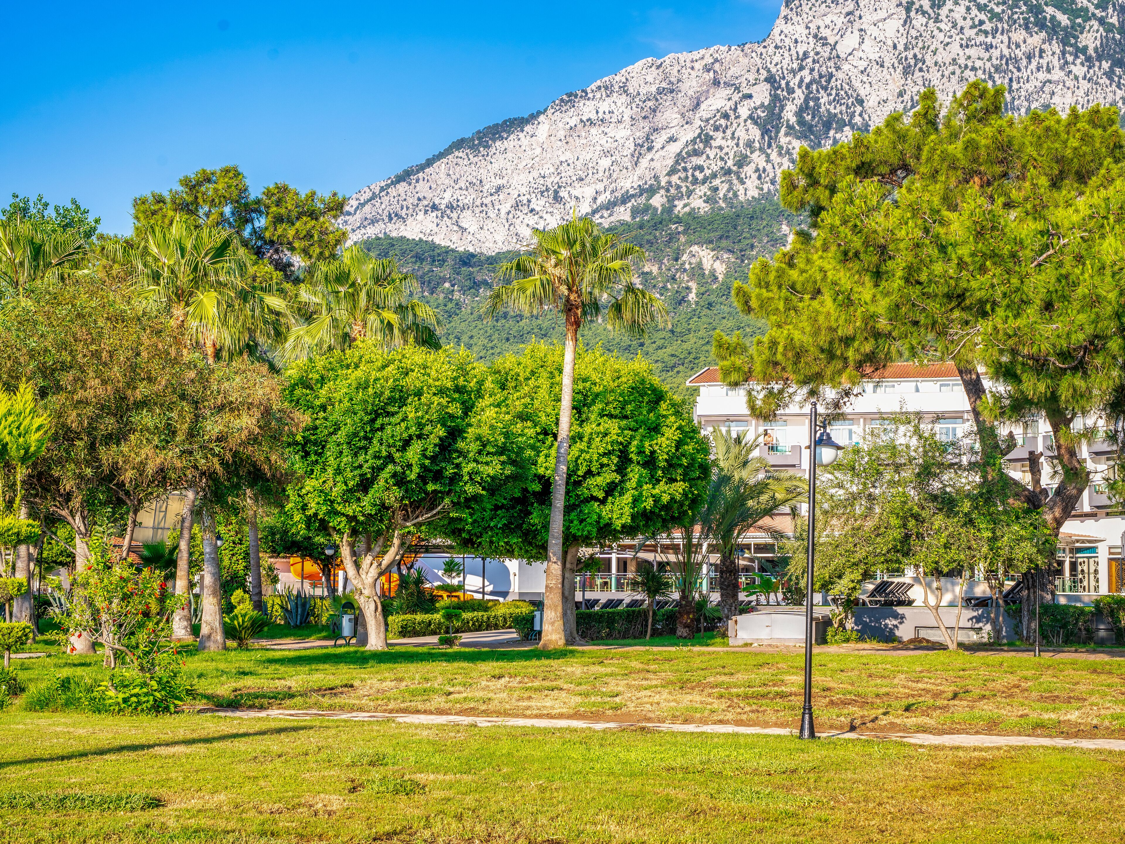 A park with trees, grass, and a mountain in the background.