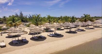 House with pool in a thriving and diverse district.