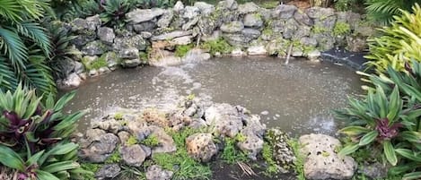 施設の敷地