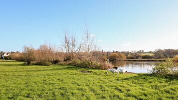 A grassy field with a pond and swans.