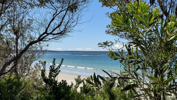 Un paysage côtier avec une plage, un ciel dégagé et un feuillage dense au premier plan.