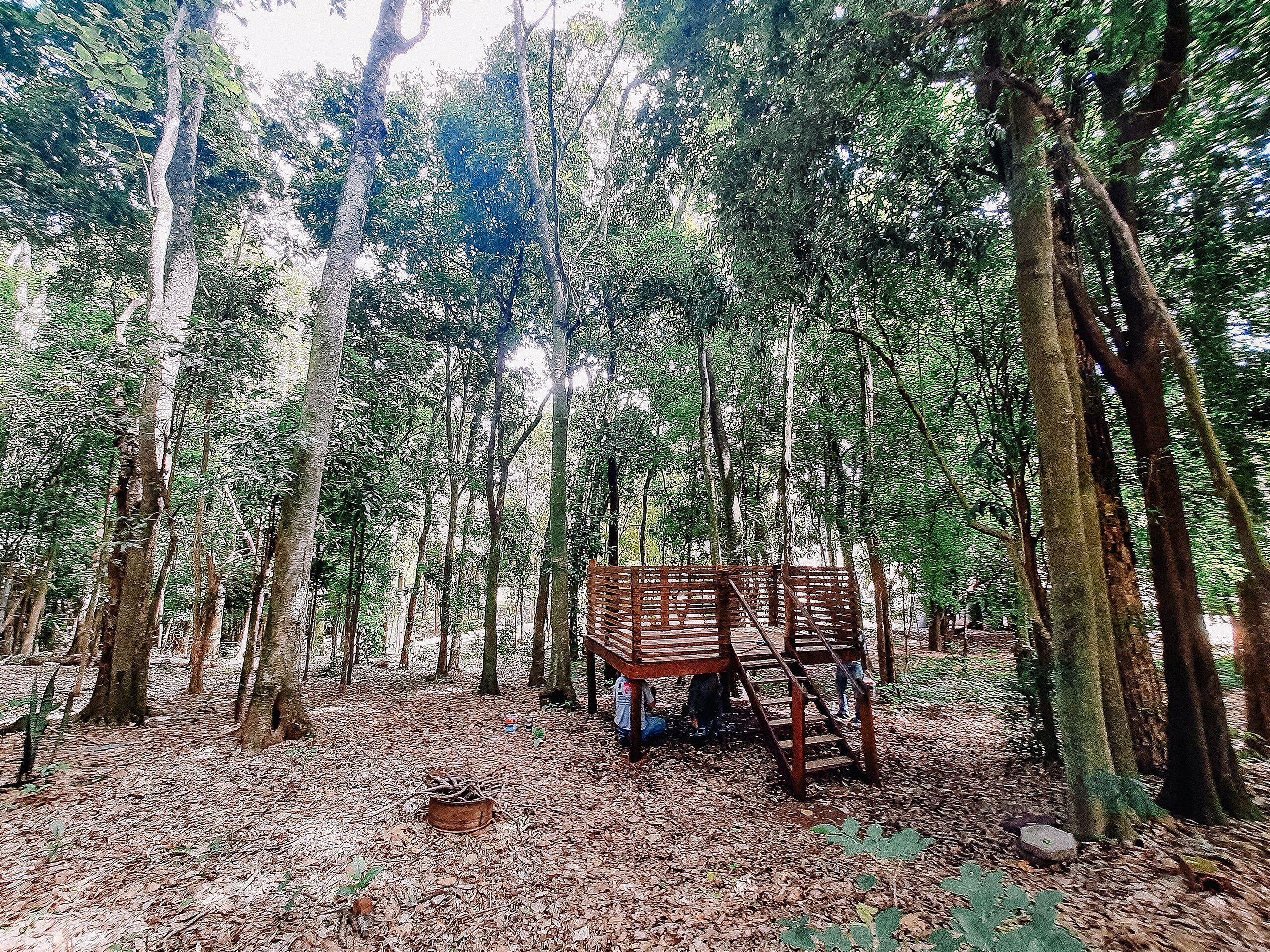 A rustic wooden structure in a forest with a staircase leading up to it.