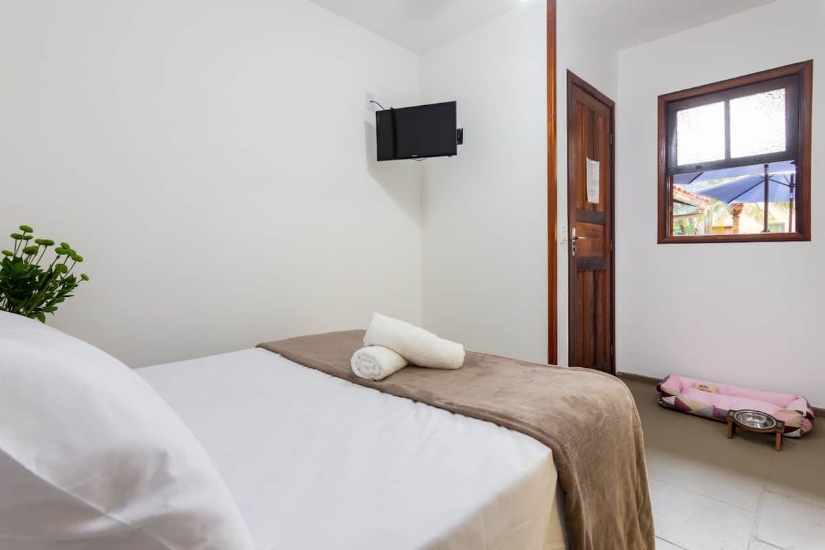 A hotel room with a bed, a TV mounted on the wall, a window with a view, and a small table with a dog bed and a bowl.
