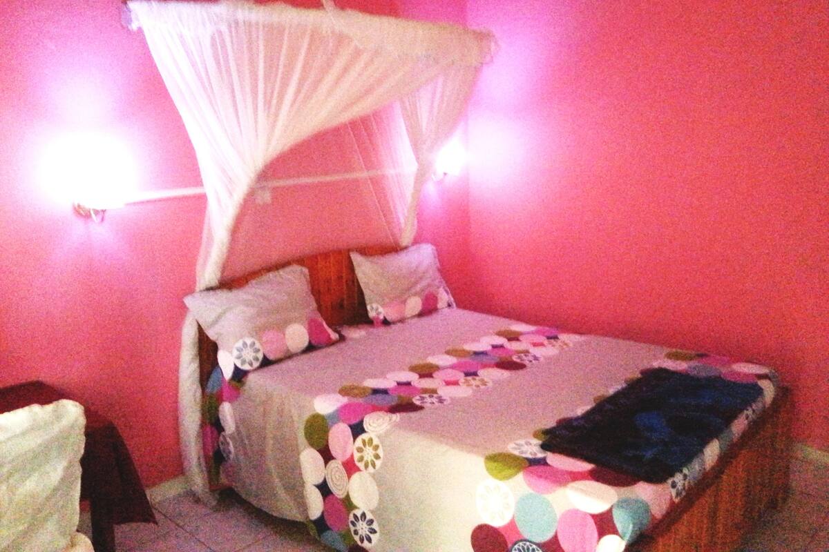 Uma cama de solteiro com dossel, paredes cor-de-rosa e duas luminárias de cabeceira.