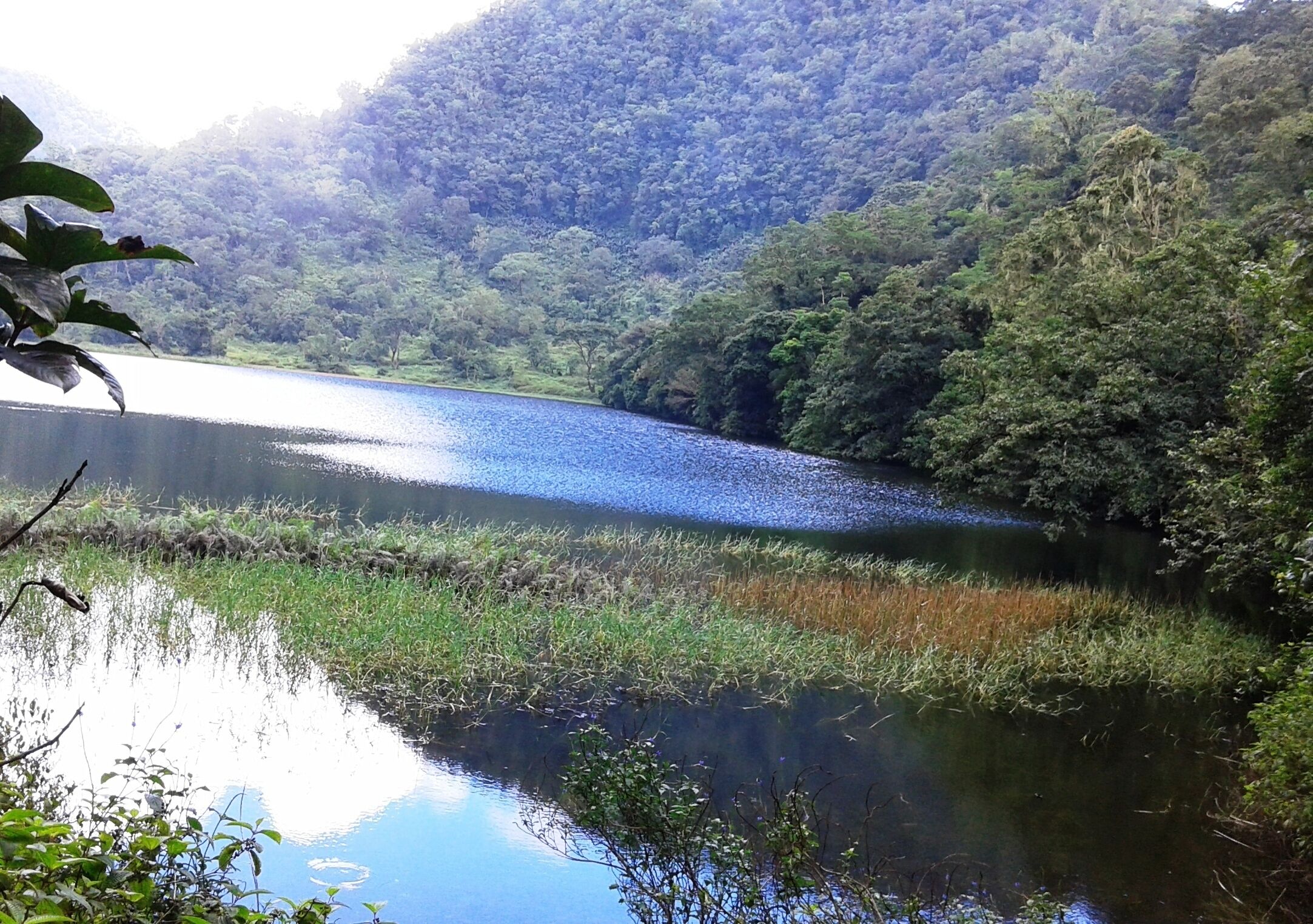 A serene lake surrounded by dense forest.