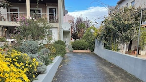 A paved pathway flanked by vibrant yellow flowers and various shrubs, leading to a building with a tiled roof. - Apartment Ivan (Rovinj)
