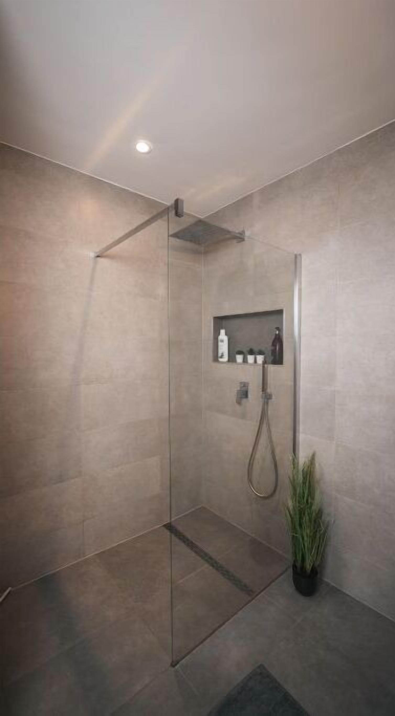 Una ducha moderna con puerta de vidrio, repisa con artículos de aseo y una planta en maceta.