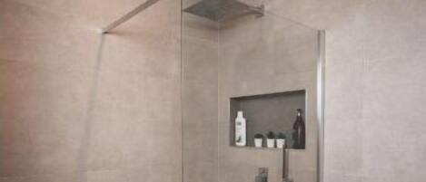 Una ducha moderna con puerta de vidrio, repisa con artículos de aseo y una planta en maceta.