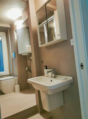 Shower, hair dryer, bidet, towels