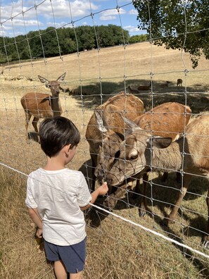 Property grounds - Une Maison de Plain-pied au Cœur Dune Ferme au Cerfs Avec vue sur les Pyrénées (Le Houga)