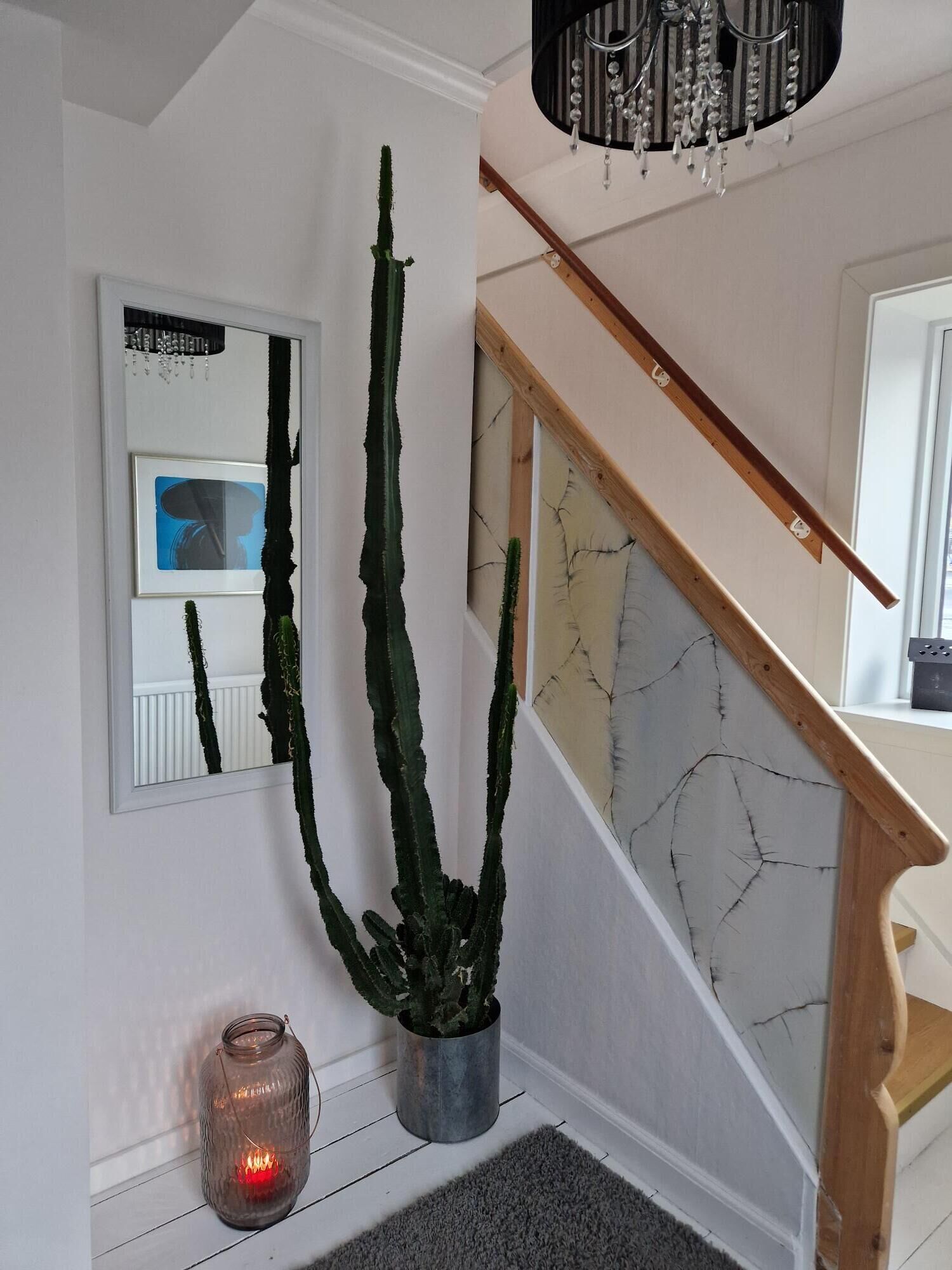 Dbl./Twin room with shared private facilities | Living area | Flat-screen TV