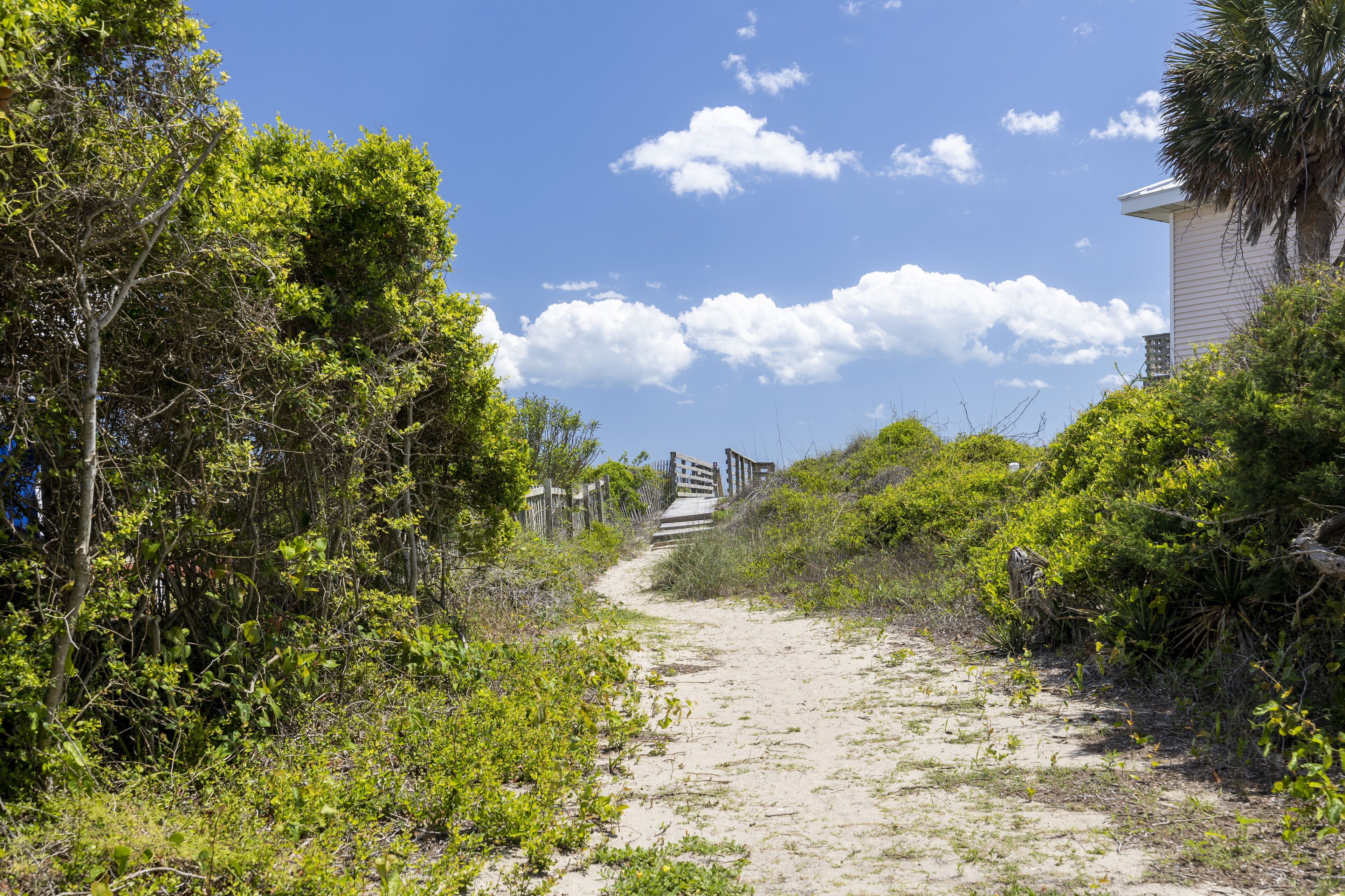 A sandy path leading to a wooden structure with a staircase, surrounded by dense greenery and a clear blue sky.