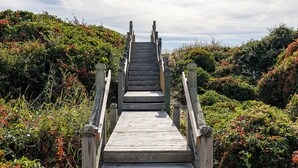 A wooden staircase leading up to a higher level, surrounded by dense vegetation and a clear sky. - Angel's Dream, Oceanfront House in Emerald Isle, NC! (Emerald Isle)