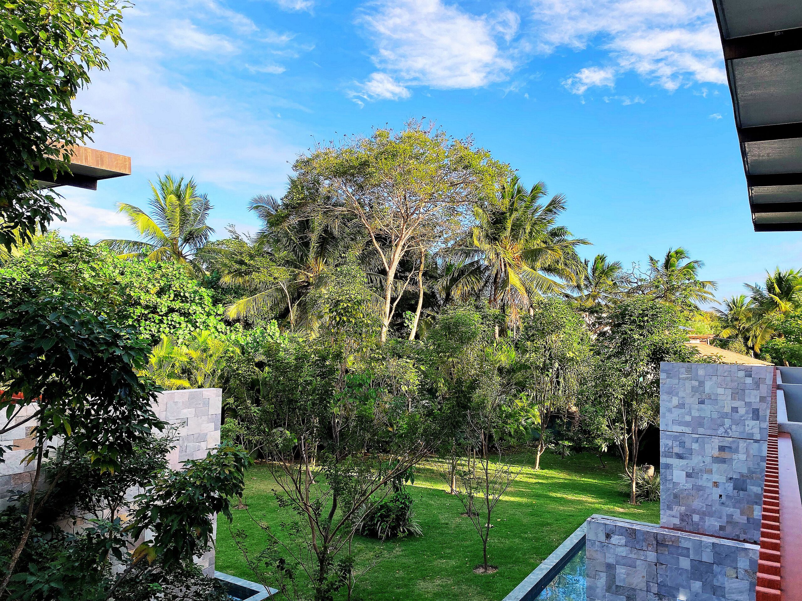 Apartamento Deluxe | Jardines del alojamiento