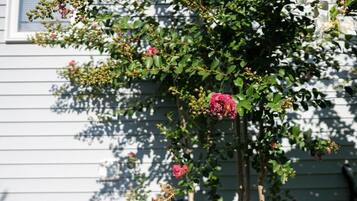 Detall de l'exterior