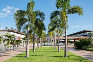Um resort com área de piscina, palmeiras e área de estar ao ar livre.