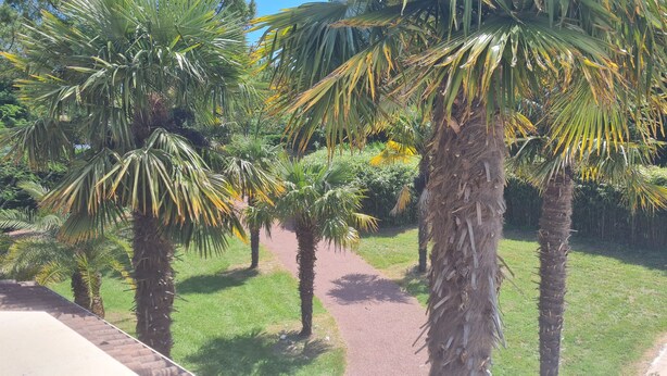 A pathway lined with palm trees and lush greenery, leading to a building with a brick facade. - Villa located in St Augustin, near Royan, 5km from the Grande Côte beach. (Saint-Augustin)