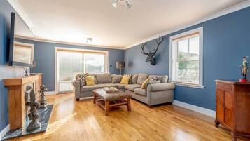 Télévision, cheminée