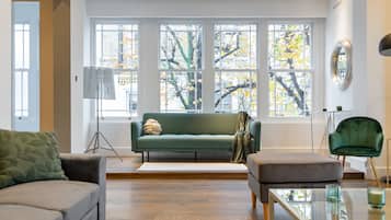 Smart TV, fireplace, books