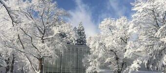 Stay without pets Surrounded by nature Relax  / Kamiminochigun Nagano