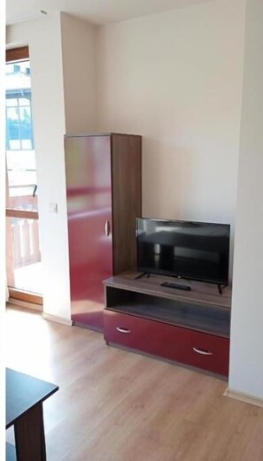 Interior - Cozy one bed room apartment in Bansko-Bulgaria (BANSKO)