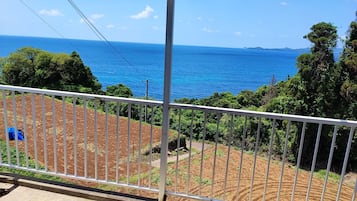 施設の敷地
