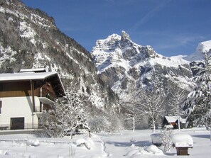 A mountain lodge with a wooden exterior, snow-covered trees, and a prominent mountain peak in the background. - Hôtel et Centre de Montagne Le Choucas (Sixt-Fer-a-Cheval)