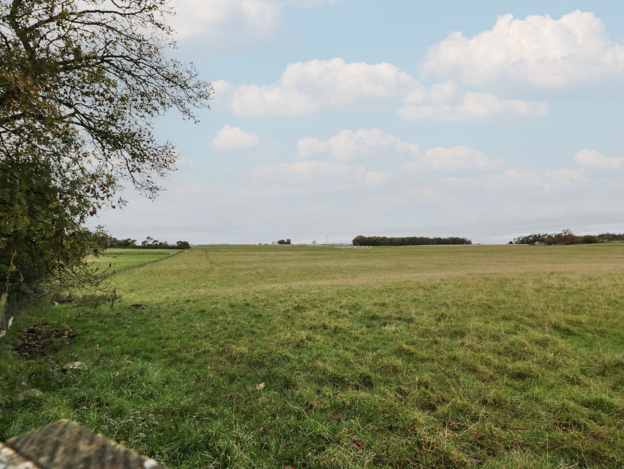 A wide, open field with a fence on the left and a line of trees in the distance.