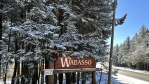 A wooden sign with 'WABASSO' written on it, surrounded by snow-covered trees.