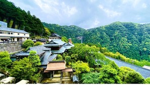 航空写真