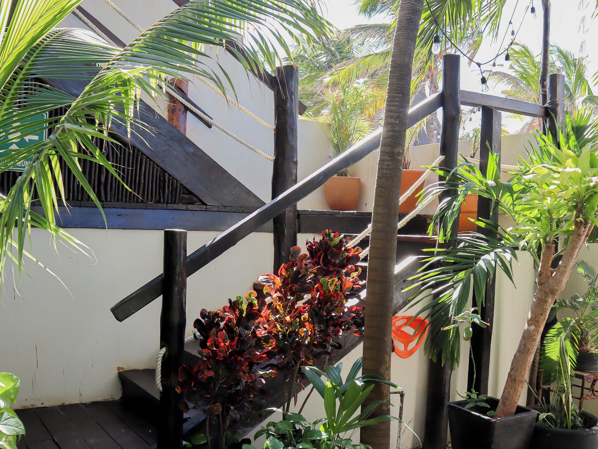 Foto - La Palma Beachfront Hotel Boutique - Self Check In