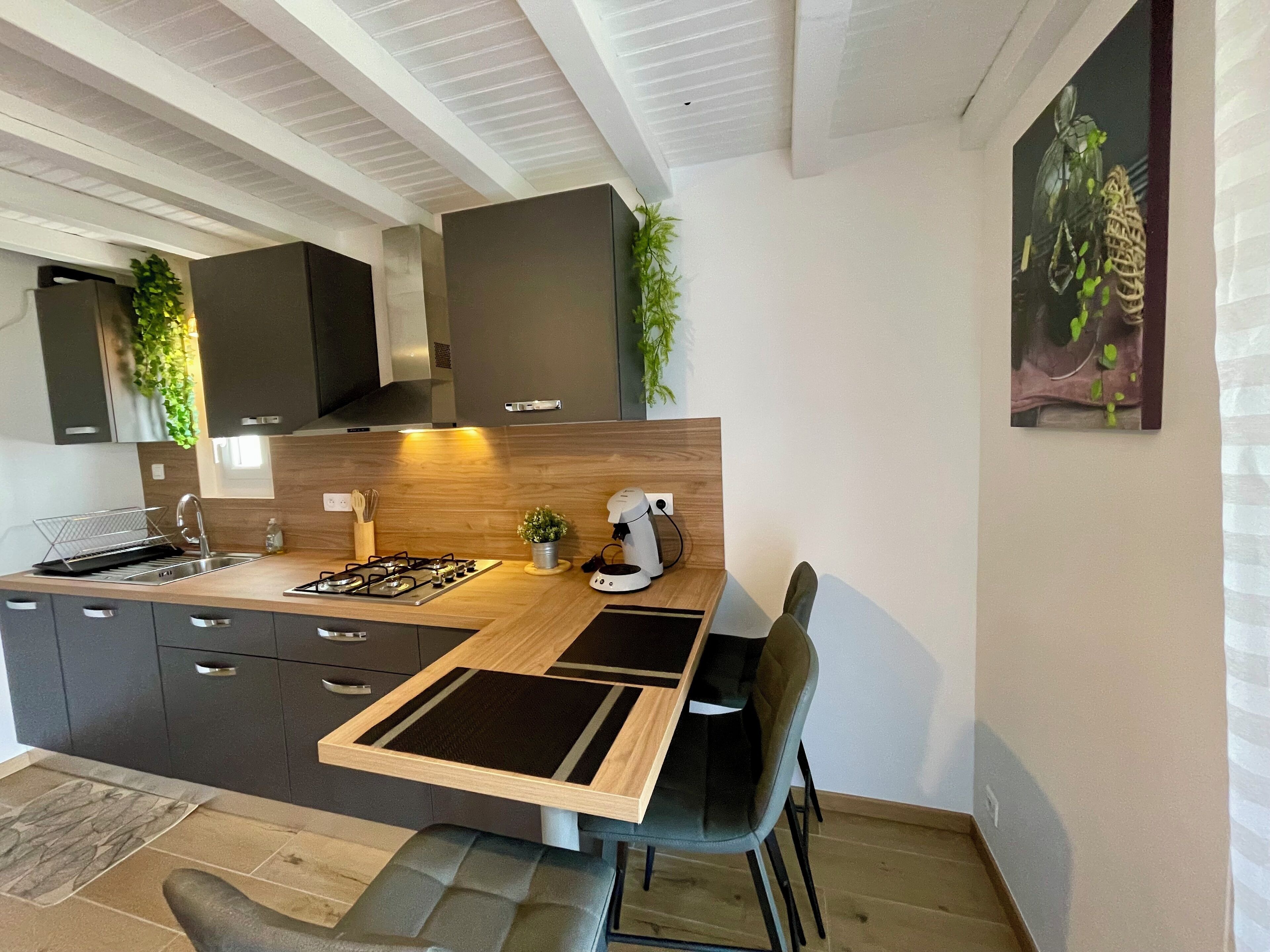 Fridge, microwave, coffee/tea maker, toaster