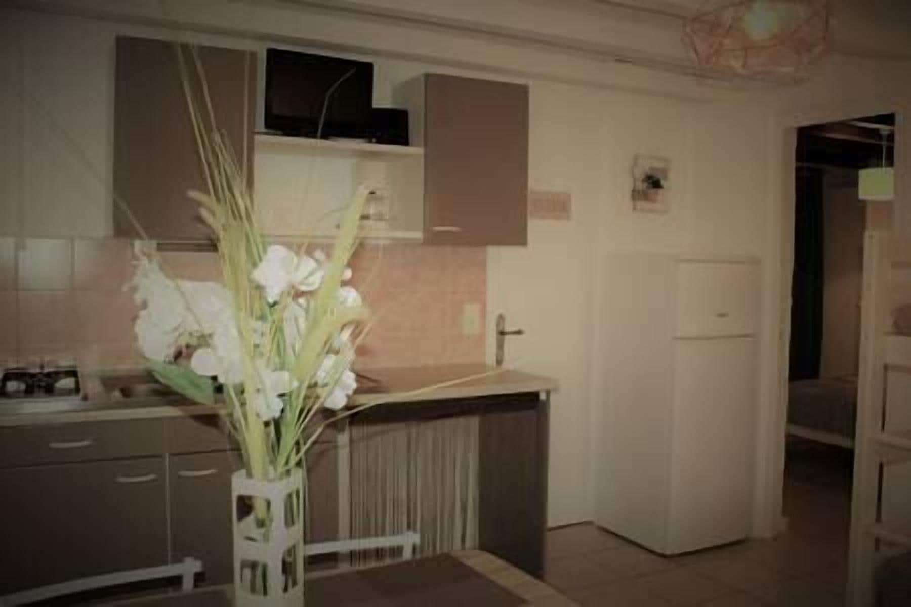 Fridge, microwave, coffee/tea maker, toaster