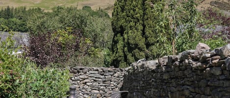 Cottage | Property grounds